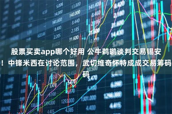股票买卖app哪个好用 公牛鹈鹕谈判交易锡安！中锋米西在讨论范围，武切维奇怀特成成交易筹码